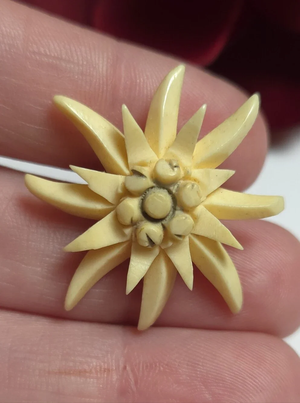 Vintage Antique Edelweiss Carved Celluliod Flower Brooch Old T Pin Brooch